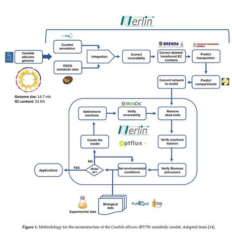 A Promising Platform for Drug Target Prediction in C. albicans | iBB | Scoop.it