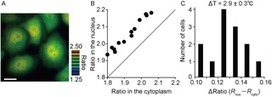 Genetically encoded ratiometric fluorescent thermometer with wide range and rapid response - PLOS One | Plant Cell Biology and Microscopy | Scoop.it