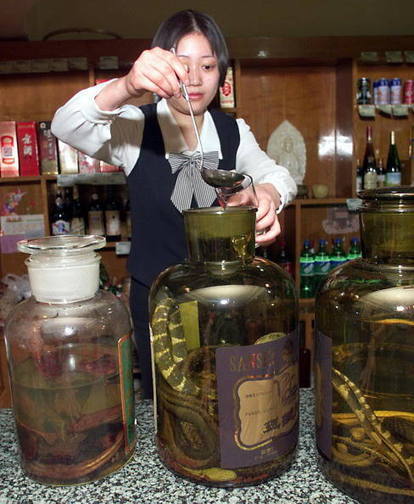 La Liqueur de Serpent en Chine | Chine | Scoop.it