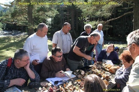 Rencontres mycologiques en vallée d'Aure | Vallées d'Aure & Louron - Pyrénées | Scoop.it