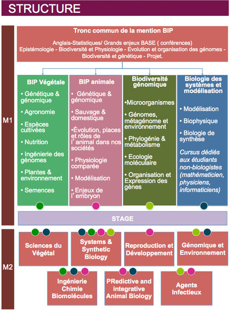 Biologie Intégrative et Physiologie | Université Paris Saclay | Life Sciences Université Paris-Saclay | Scoop.it