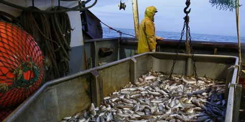 La mer, trésor français (10/14) - la France obligée d'importer son poisson dès le mois de mai | Veille territoriale AURH | Scoop.it