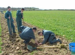 Des arbres au service de la production agricole à l'EPL de Fontaines (71) | Paysage - Agriculture | Scoop.it