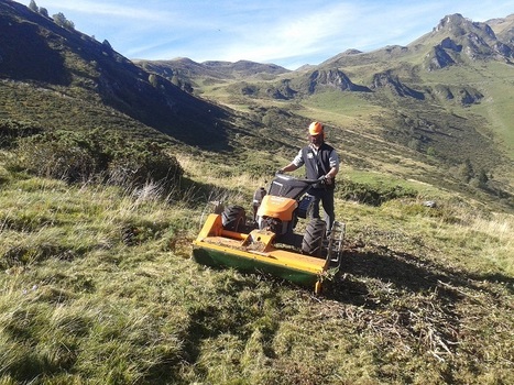 Hautes-Pyrénées : chasseurs et agriculteurs main dans la main pour la sauvegarde de la biodiversité | Paysage - Agriculture | Scoop.it
