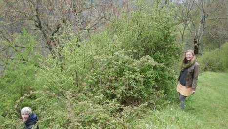 Un stage de permaculture ce week-end à Barrancoueu | Vallées d'Aure & Louron - Pyrénées | Scoop.it