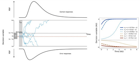 Modéliser les effets des facteurs internes sur la prise de décision perceptive | Life Sciences Université Paris-Saclay | Scoop.it