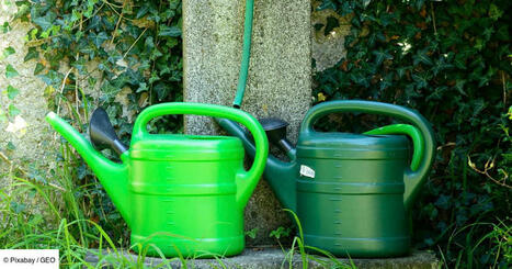 Économiser l'eau grâce au jardinage bio | Attitude BIO | Scoop.it