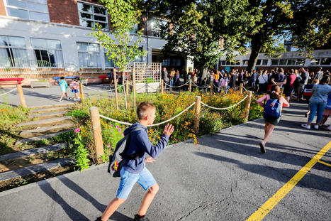 Rentrée scolaire. Quand la nature réinvestit les cours de récréation | Vers la transition des territoires ! | Scoop.it