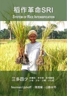 TAIWAN: 稻作革命SRI （System of Rice Intensification） | SRI Global News: February - April 2024 **sririce -- System of Rice Intensification | Scoop.it