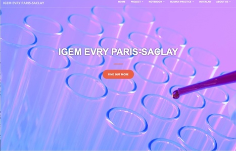 L’équipe iGEM Evry Paris-Saclay vient de gagner la médaille d’or à la competition internationale de biologie de synthèse iGEM 2017 qui s’est achevée hier à Boston | Life Sciences Université Paris-Saclay | Scoop.it