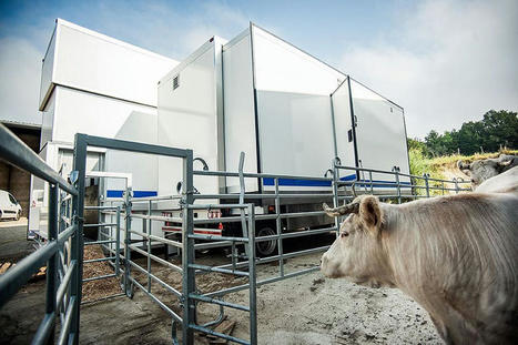 Côte-d'Or : l'abattoir mobile pour bovins est opérationnel | Actualité Bétail | Scoop.it