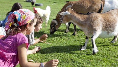 #Tourisme #vert : le bonheur est dans la #ferme | Ecotourisme | Scoop.it