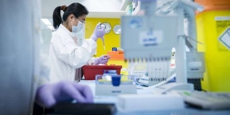 Le microbiote, nouvelle star des labos et des investisseurs | Life Sciences Université Paris-Saclay | Scoop.it