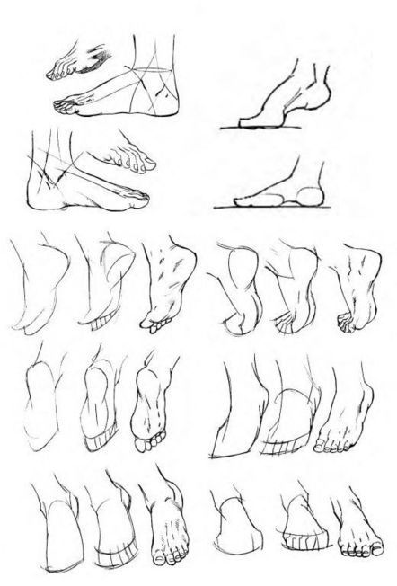 Leg Drawing Reference Guide | Drawing References and Resources | Scoop.it