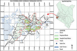 KENYA: A Cost Benefit Analysis of the Adoption of System of Rice Intensification: Evidence in Oluch Irrigation Scheme, Kenya | SRI Global News: February - April 2024 **sririce -- System of Rice Intensification | Scoop.it