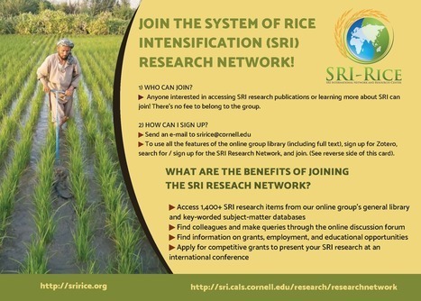 System of Rice Intensification (SRI) Research Network Library (on Zotero) | SRI Global News: February - April 2024 **sririce -- System of Rice Intensification | Scoop.it