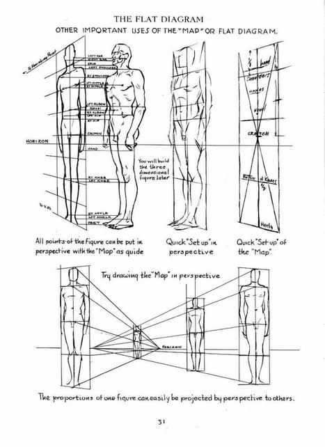 017 | Anatomy References for Artists | Drawing References and Resources | Scoop.it