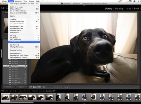 4 Not-so-Secret Tricks to Speed up Your Lightroom Workflow @ Weeder | Photo Editing Software and Applications | Scoop.it