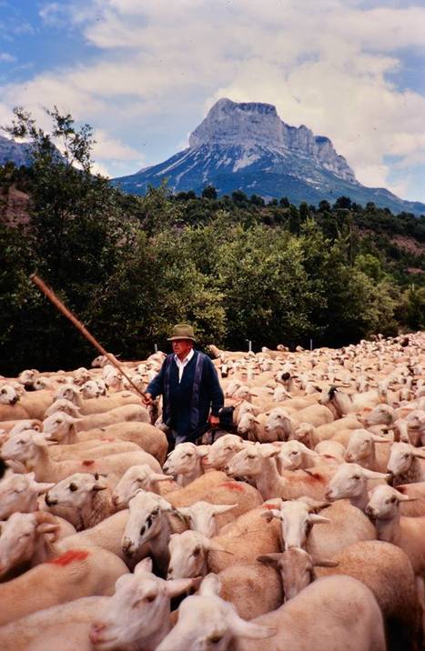 Hautes-Pyrénées : Bourisp « centre du monde » du photo-reportage du 16 au 19 juin 2016 | Vallées d'Aure & Louron - Pyrénées | Scoop.it