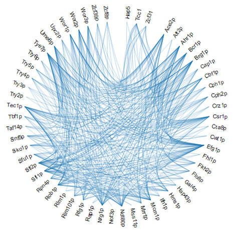 The PathoYeastract Database is Launched! | iBB | Scoop.it