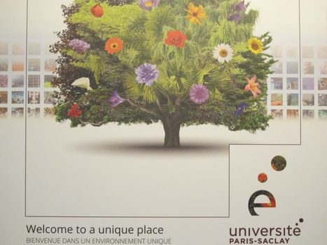 Université Paris-Saclay, laboratoire et moteur pour l’enseignement supérieur | Life Sciences Université Paris-Saclay | Scoop.it