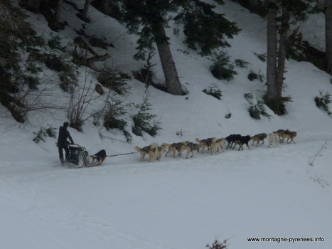 Musher vers le col de Peyresourde le 12 mars 2013 | Vallées d'Aure & Louron - Pyrénées | Scoop.it