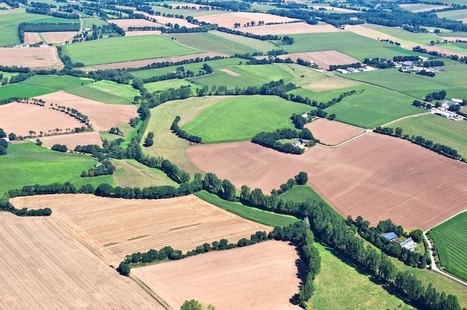 Formation doctorale : "Évaluation des services écosystémiques des espaces agricoles et périurbains" | Life Sciences Université Paris-Saclay | Scoop.it