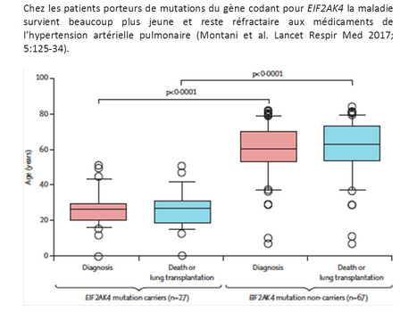 Mieux comprendre l’hypertension pulmonaire | Life Sciences Université Paris-Saclay | Scoop.it