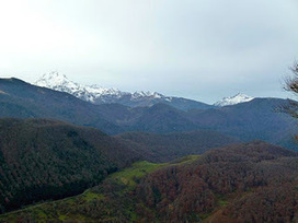 Lagrolenpyrénées: Pic d'Arneille, entre chien et loups. | Vallées d'Aure & Louron - Pyrénées | Scoop.it