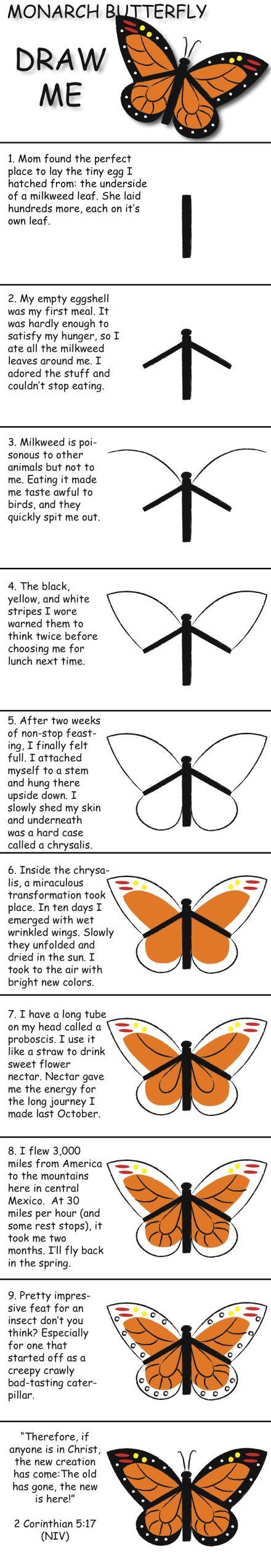 How To Draw A Butterfly | Drawing and Painting Tutorials | Scoop.it