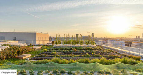 L'agriculture urbaine peut-elle nourrir les citadins ? | Attitude BIO | Scoop.it