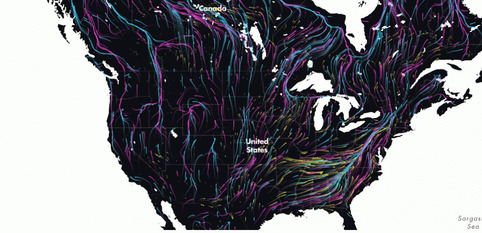 Une carte interactive illustre le périple des animaux fuyant le réchauffement climatique | Veille territoriale AURH | Scoop.it