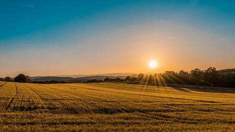 WWF urgers UK to transform farmland to boost food resilience and tackle nature crisis - Climate Action | Energy Transition in Europe | www.energy-cities.eu | Scoop.it