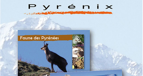 Pyrénix, un nouveau jeu de cartes qui permet de tout savoir sur les Pyrénées | Vallées d'Aure & Louron - Pyrénées | Scoop.it