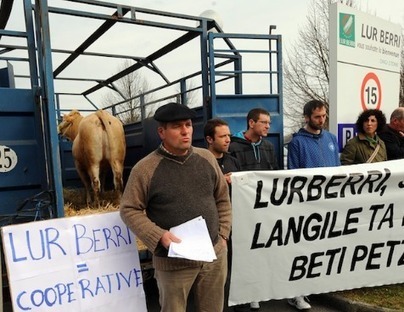 Abattoir d’Anglet : Lur Berri et Bigard désignés repreneurs | Actualité Bétail | Scoop.it