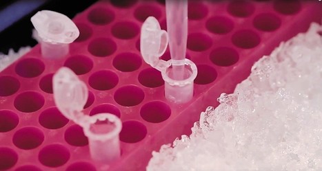 Brainvectis s'appuie sur IDF Innov pour accélérer ses essais cliniques | Life Sciences Université Paris-Saclay | Scoop.it