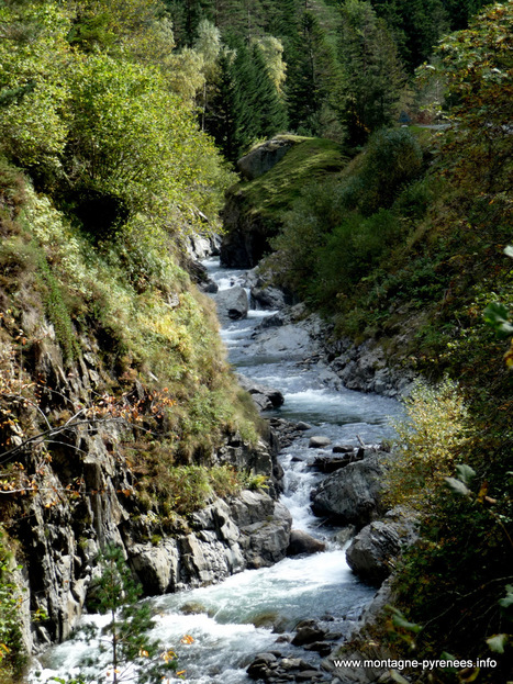 Vers une suppression de l’exonération du foncier non bâti situé en zone de protection Natura 2000 ? | Vallées d'Aure & Louron - Pyrénées | Scoop.it