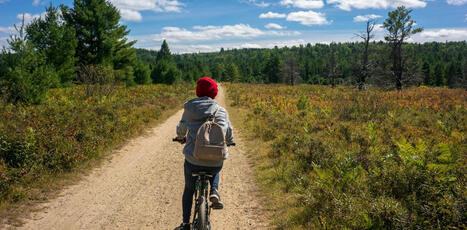 Comment développer le vélo à la campagne ? - RCF | Développement économique en milieu rural | Scoop.it