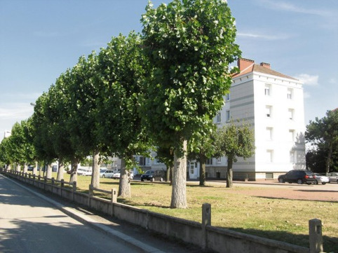 Le Havre - le conseil de quartier de la Vallée-Béreult consacré entre autres à l’opération de destruction-construction du groupe Graville-La Vallée | Veille territoriale AURH | Scoop.it