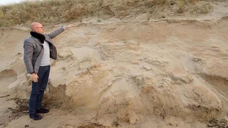 Oye-Plage : avec la tempête Ciara, le cordon dunaire a reculé de quatre mètres | Vers la transition des territoires ! | Scoop.it