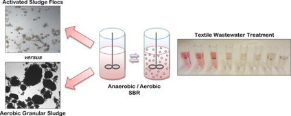 Assessing the Potential of Aerobic Granular Sludge for Industrial Wastewater Treatment | iBB | Scoop.it