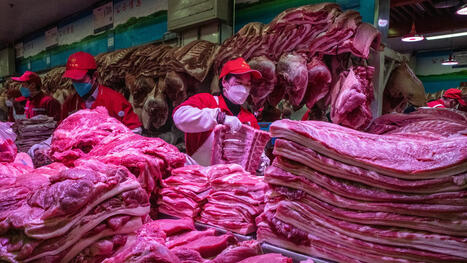 TRADE: China launches anti-dumping probe into EU pork as trade tensions grow | COMMERCE & LOGISTIQUE | Scoop.it