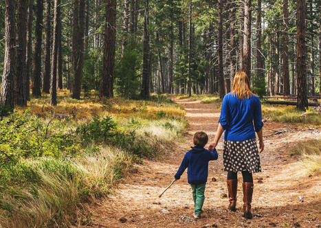 "Sentiers de Nature" : 89 projets retenus au total | Banques des territoires | La SELECTION du Web | CAUE des Vosges - www.caue88.com | Scoop.it