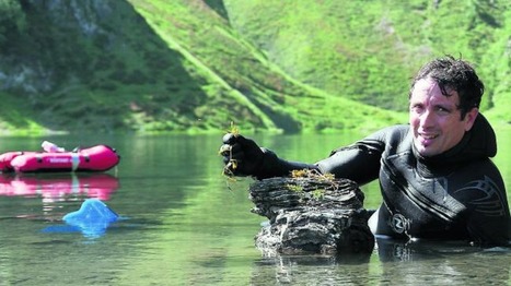 Biodiversité : derrière la carte postale des lacs pyrénéens, la découverte d'un monde inconnu | Vallées d'Aure & Louron - Pyrénées | Scoop.it