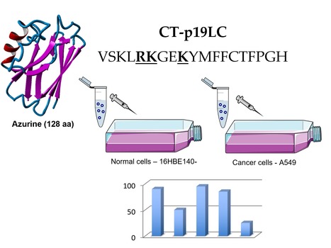 The Azurin-Derived Peptide CT-p19LC Exhibits Membrane-Active Properties and Induces Cancer Cell Death | iBB | Scoop.it