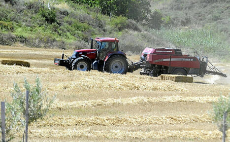 Les engrais organiques au secours des sols et des cultures | Pays Basque | MEDIABASK | Revue de presse du CAUE 64 | Scoop.it