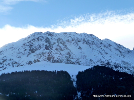 Pas de naissance pour les gypaètes barbus de l'Arbizon - Parc national des Pyrénées | Vallées d'Aure & Louron - Pyrénées | Scoop.it