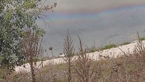 Pollution accidentelle au lac de Loudenvielle | Vallées d'Aure & Louron - Pyrénées | Scoop.it