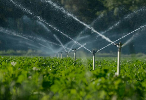 Gestion quantitative de la ressource en eau et des situations de sécheresse : le décret est paru | Veille juridique du CDG13 | Scoop.it