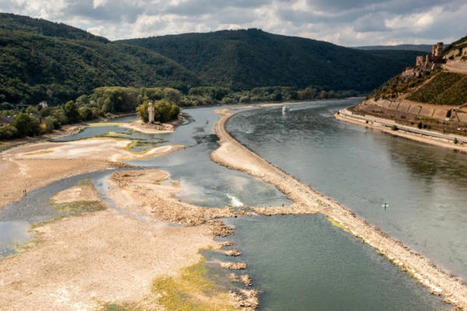 Restaurants fermés, usines à l’arrêt… le monde économique paye son manque d’adaptation au changement climatique | Vers la transition des territoires ! | Scoop.it